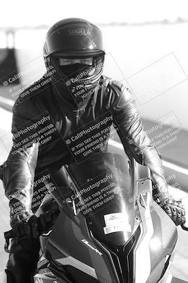 media/Feb-23-2025-2WTD (Sun) [[9604a77d5d]]/1-Around the Pits/